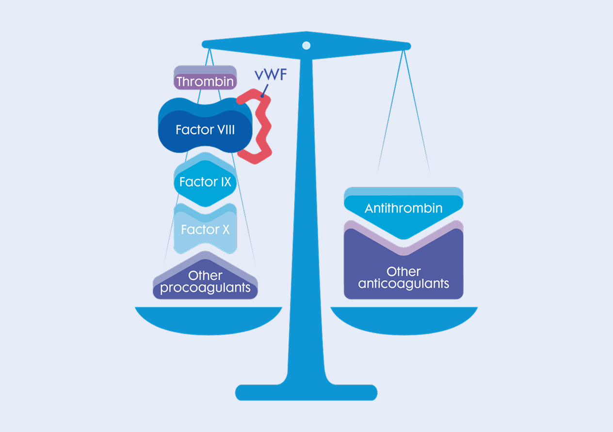 Illustration of scales, representing balance achieved during the clotting process. Thrombin, factor VII, factor IX, factor X, and other procoagulants are on the left, and antithrombin and other anticoagulants are on the right.