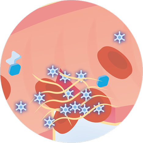 Illustration of fibrin mesh forming a blood clot 